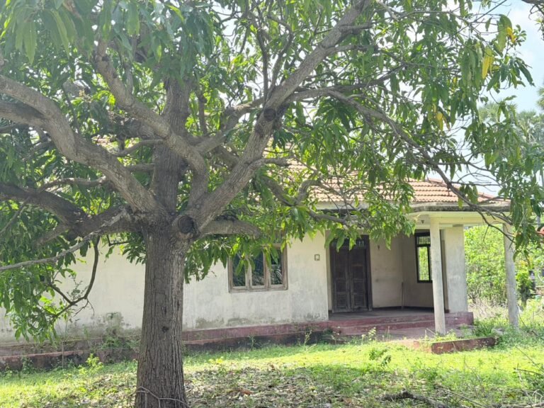 காரைநகரில் வீட்டுடன் காணி விற்பனைக்கு