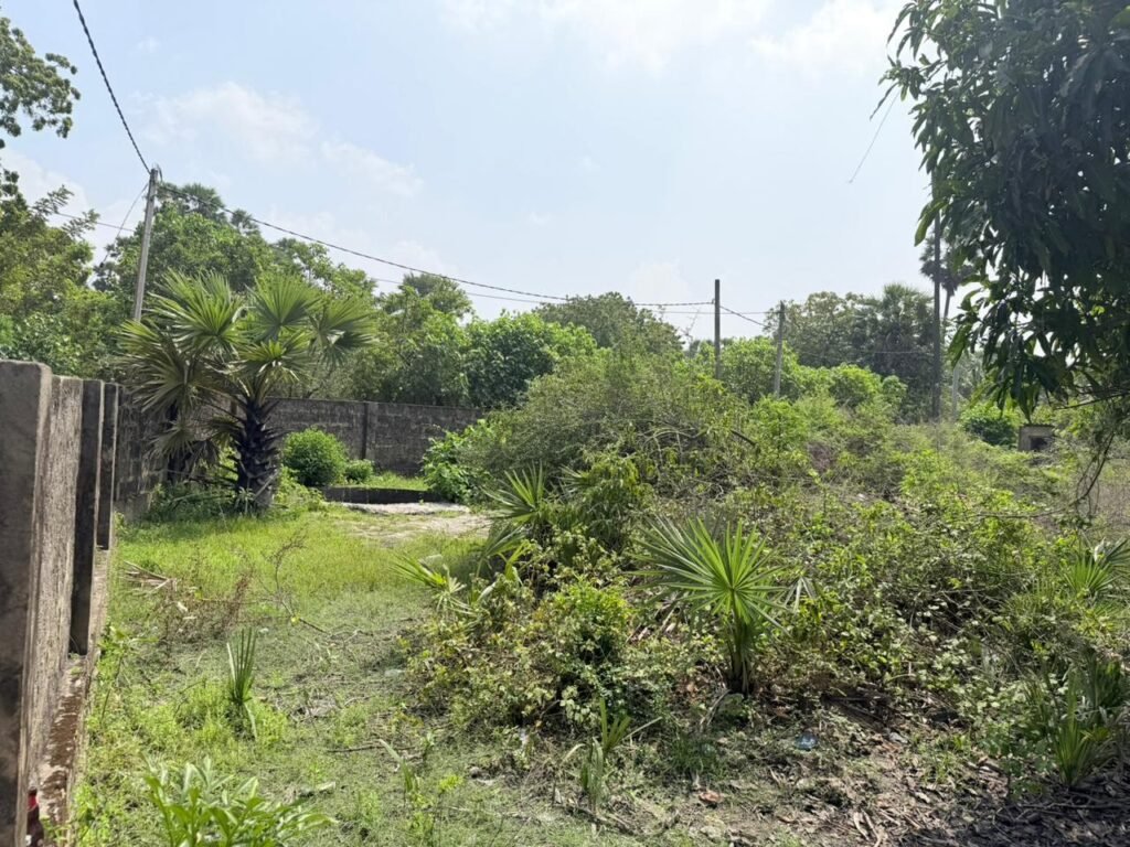 காரைநகரில் வீட்டுடன் காணி விற்பனைக்கு